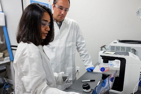 Two doctors in lab looking at scans of brains immune cells