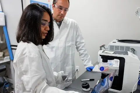 Two doctors in lab looking at scans of brains immune cells