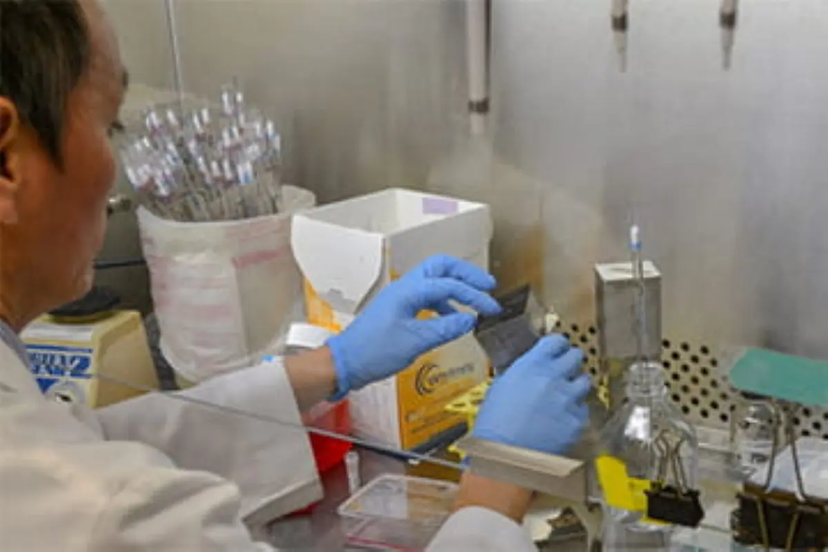 Person in lab completes experiments