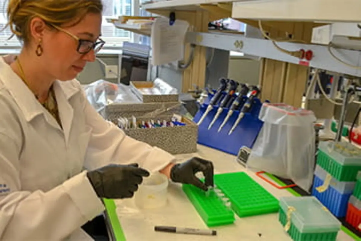 Person in lab conducts experiments