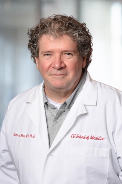 20353-White, Fletcher 20353-White, Fletcher