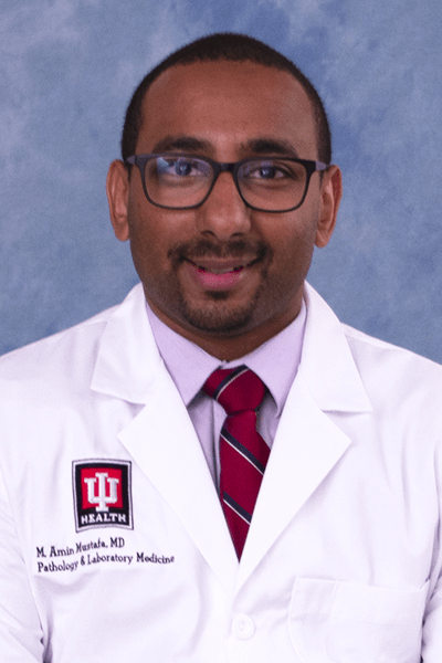 23886-Mustafa, M. Amin 23886-Mustafa, M. Amin