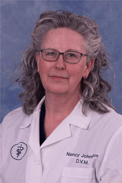 22538-Johnston, Nancy 22538-Johnston, Nancy