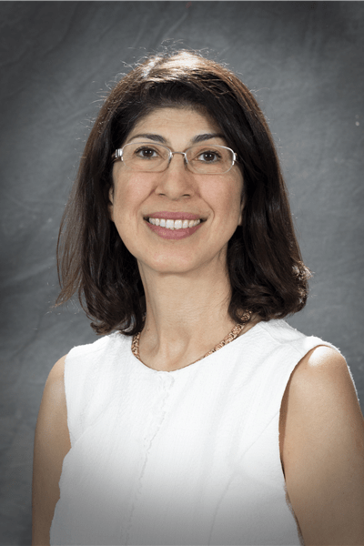 60800-Sarmadi, Mojgan 60800-Sarmadi, Mojgan