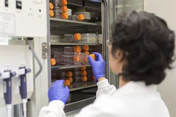 Researcher organizing tubes into cabinet.