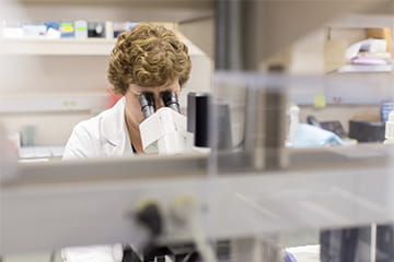 Career Development Programs