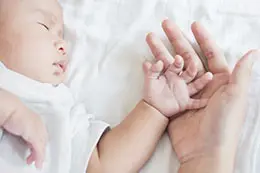 CARE Plus Attachment Training