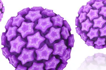 A mock up of what a HPV cell might look like