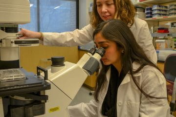 RCF Scholars conducting research