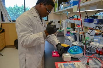 Dermatopathology Fellowship