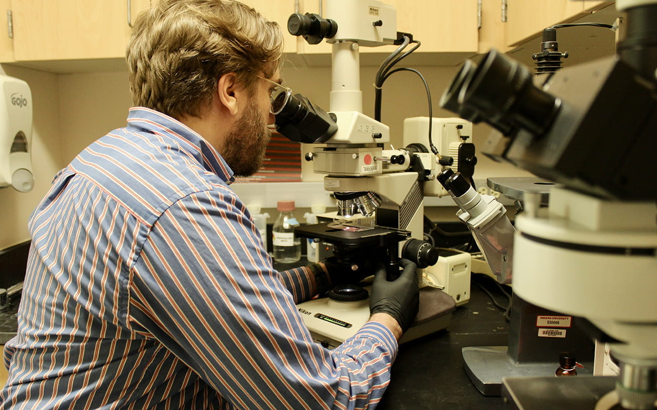  Researcher Dr Caleb Ardizzone analyzing a sample using a microscope