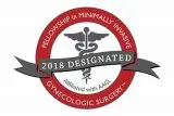 Minimally Invasive Gynecologic Surgery Fellowship