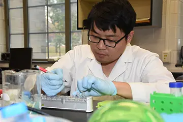 Researcher working on samples in a lab