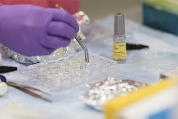 gloved hand working with lab equipment