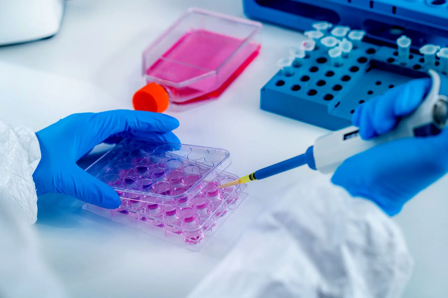 research with pipe and pink fluid
