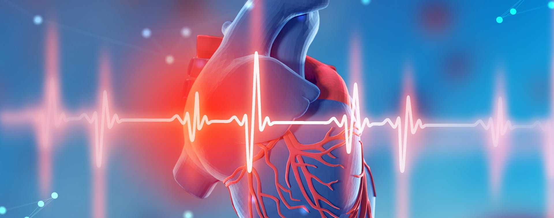 a heart beat line over a heart illustration