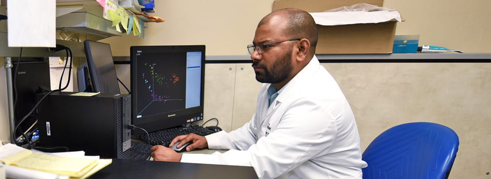 a researcher at work in the lab